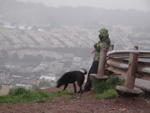 A soggy pooch