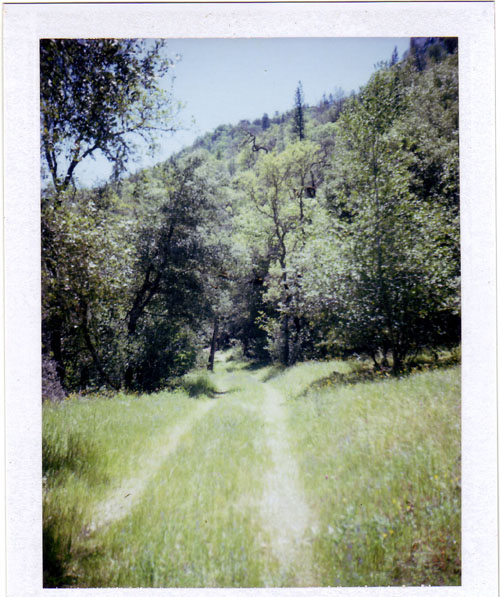 the trail the trail