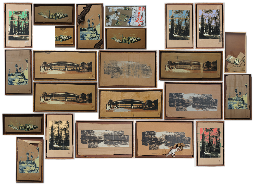 Assorted screen prints on reclaimed cardboard in oak box frames (composite image) | Variable Dimensions | 2012-2013 Prints on Trash
