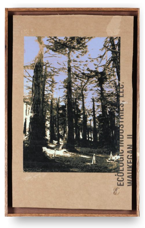 Three Cones in the Park