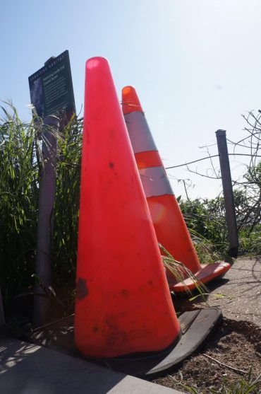 Sutro Heights Cones